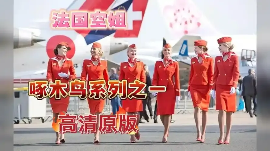 《法国空姐4》资源下载-法国空姐4超高清完整版在线观看-法国空姐1-3季全季合集免费观看
